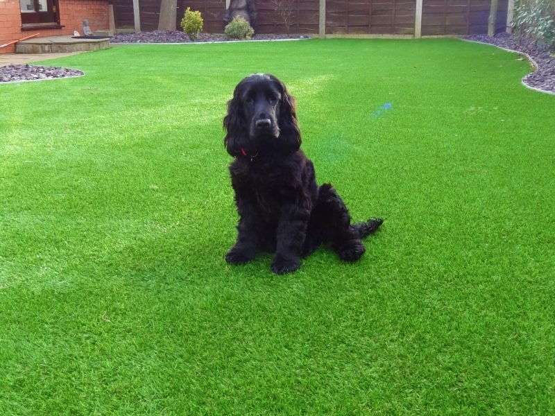 grass_service7_副本